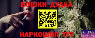 крисы Краснодар