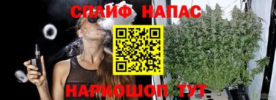 крисы Краснодар