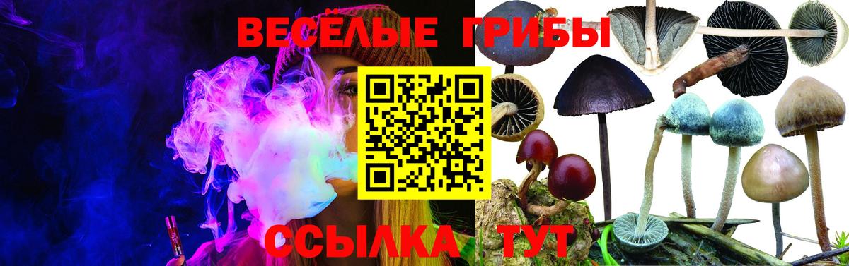 Галлюциногенные грибы MAGIC MUSHROOMS  наркота  Кировск  Псилоцибиновые грибы мухоморы  Вход с VPN 